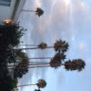 Meet your Posher, Isabella